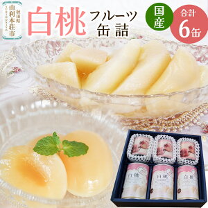 yӂ邳Ɣ[ŁzSanuki t[cʋl kYE2蔒ʋl e3ʃZbg