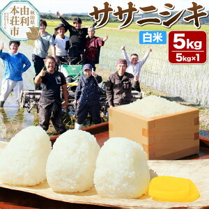 yӂ邳Ɣ[ŁzyāzHcR{sY TTjVL 5kgi5kg×1܁jߘa6NY