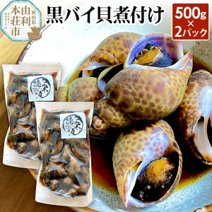 yӂ邳Ɣ[ŁzoCLϕt 500g×2pbN