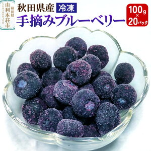 �y�ӂ邳�Ɣ[�Łz�H�c���Y ��E�ݗⓀ�u���[�x���[ 100g×20�p�b�N