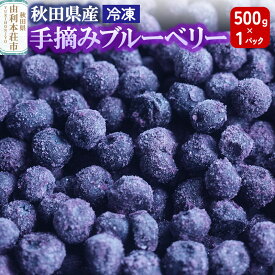【ふるさと納税】秋田県産 手摘み冷凍ブルーベリー 500g×1パック