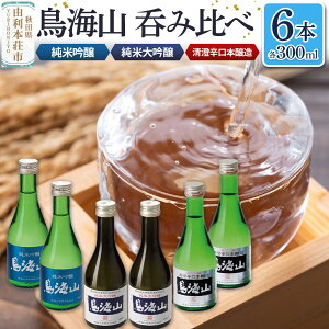 【ふるさと納税】天寿酒造 呑み比べ6本セット(純米大吟醸「鳥海山」2本、純米吟醸「鳥海山」2本、清澄辛口本醸造「鳥海山」2本 各300ml)