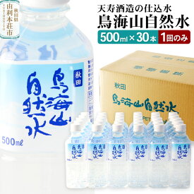 【ふるさと納税】鳥海山自然水500ml 30本