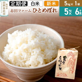 【ふるさと納税】《6ヶ月定期便》令和7年産 【 白米 】 秋田県産ひとめぼれ5kg