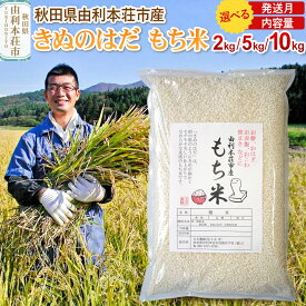 【ふるさと納税】【お盆・お彼岸】【もち米】令和7年産 秋田県 由利本荘市産 きぬのはだ 精米 【選べる内容量 2kg／5kg／10kg（5kg×2袋） 選べる発送月】