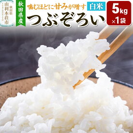 【ふるさと納税】【白米】秋田県由利本荘市産 つぶぞろい 5kg 令和7年産