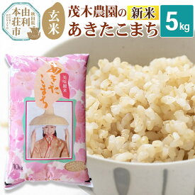 【ふるさと納税】《令和7年産 新米》【玄米】あきたこまち 5kg 秋田県産 茂木農園のあきたこまち ブランド米 銘柄米 米どころ 秋田県 由利本荘市