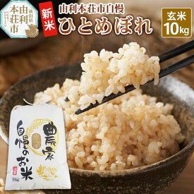 【ふるさと納税】令和7年産【玄米】秋田県産 ひとめぼれ 10kg 自慢のお米