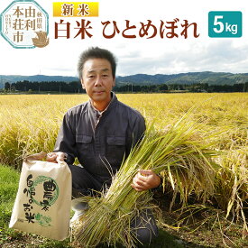 【ふるさと納税】【白米】 ＜通算5回 特A＞ ひとめぼれ 5kg 令和7年産 新米 農家直送 渡部さんのひとめぼれ