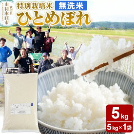 【ふるさと納税】【無洗米】秋田県由利本荘市産 特別栽培米 ひとめぼれ 5kg（5kg×1袋）令和6年産