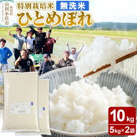 【ふるさと納税】【無洗米】秋田県由利本荘市産 特別栽培米 ひとめぼれ 10kg（5kg×2袋）令和6年産