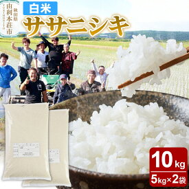 【ふるさと納税】【白米】秋田県由利本荘市産 ササニシキ 10kg（5kg×2袋）令和6年産