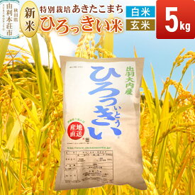 【ふるさと納税】米 5kg 【白米／玄米】 秋田県産 特別栽培あきたこまち 令和7年産 ひろっきい米