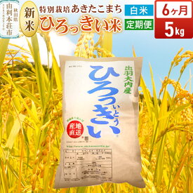 【ふるさと納税】《定期便6ヶ月》【白米】 秋田県産 あきたこまち 5kg 令和7年産 特別栽培米 ひろっきい米