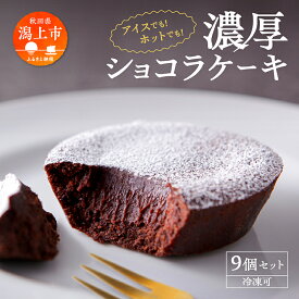 【ふるさと納税】 濃厚ショコラケーキ 9個 セット 洋菓子 お菓子 ケーキ チョコレート 詰め合わせ 冷蔵 冷凍 ご当地 グルメ 故郷 ふるさと 納税 潟上 潟上市 バレンタイン ホワイトデー 遅れてごめんね お取り寄せ 個包装 秋田 【つくし苑】