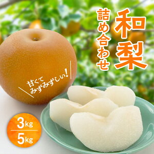 yӂ邳Ɣ[Łz a lߍ킹 3kg 5kg { Â  ʕ t[c Ȃ iV O lC  LO ̋ ӂ邳 [ Hc Hc  s yډʎz