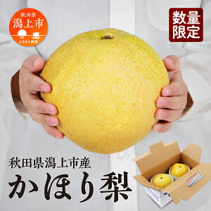 【ふるさと納税】 《10月中旬以降発送》令和7年産 和梨 かほり梨 かほり 旬 甘い 大玉 800g くだもの 果物 フルーツ なし ナシ 冷蔵 グルメ 人気 おすすめ ランキング 秋田 秋田県 潟上 潟上市
