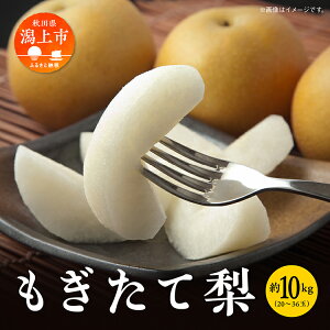 yӂ邳Ɣ[Łz 5kg 10kg ̂ꂽ  K Â 쐅  H G V V 12`18ʑO 24`36ʑO { ʕ  t[c Ȃ ①   HcY 