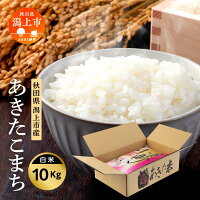 【ふるさと納税】 【数量・期間限定 5営業日以内発送】 令和6年産 あきた...
