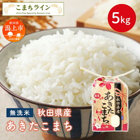 【ふるさと納税】 無洗米 あきたこまち 5kg 米 令和5年産 一等米 訳あり わけあり 返礼品 こめ コメ 5キロ ふっくら 甘い 人気 おすすめ グルメ 故郷 ふるさと 納税 秋田 潟上市 一人暮らし 【こまちライン】