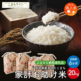【ふるさと納税】 《 定期便 》《令和7年産》 家計お助け米 あきたこまち 20kg × 6ヶ月 半年 米 一等米 返礼品 こめ コメ 人気 おすすめ 5キロ 人気 おすすめ グルメ 故郷 ふるさと 納税 秋田 潟上市 一人暮らし 【こまちライン】
