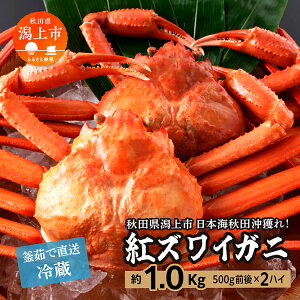 【ふるさと納税】 冷蔵 ズワイガニ 2匹 約 1kg 紅ズワイガニ ベニズワイガニ ずわい ズワイ蟹 ずわいがに ずわい蟹 姿 ボイル 訳あり 蟹 カニ かに 国産 蟹 不揃い 傷 緊急 カニみそ入り 秋田