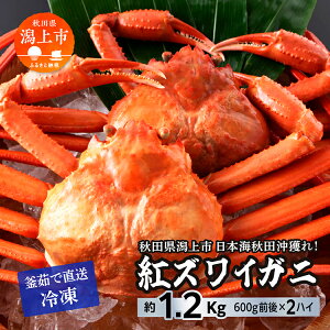 yӂ邳Ɣ[Łz YCKj 2C  1.2kg Ⓚ gYCKj xjYCKj 킢 YCI 킢 킢I p {C 󂠂 I Jj  Y I s  ً} Jj݂ 