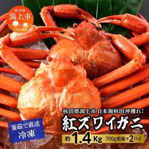 yӂ邳Ɣ[Łz YCKj 2C  1.4kg Ⓚ gYCKj xjYCKj 킢 YCI 킢 킢I p {C 󂠂 I Jj  Y I s  ً} Jj݂ 