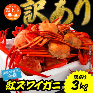 yӂ邳Ɣ[Łz ① 󂠂 YCKj  3kg gYCKj xjYCKj 킢 YCI 킢 킢I p {C I Jj   ɒ Jj r Y I s  Jj