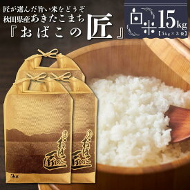 【ふるさと納税】秋田県産おばこの匠あきたこまち　15kg （5kg×3袋）白米【令和5年産】