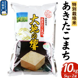 【ふるさと納税】米 特別栽培米 あきたこまち「大地の響」10kg（5kg×2袋）【白米】令和6年産 精米【秋山商店】