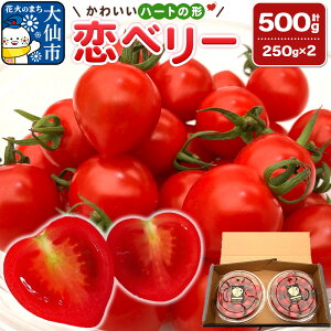 �y�ӂ邳�Ɣ[�Łz�H�c���Y�~�j�g�}�g�u���x���[�v500g�i250g×2�j�M�t�gBOX �����x �Ƃ܂� ��� �V�N �Â�