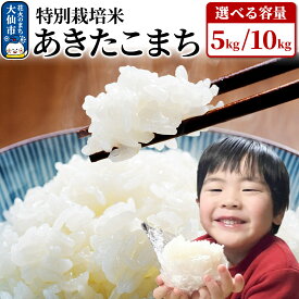 【ふるさと納税】米 令和7年産【特別栽培米】あきたこまち【精米】選べる容量【5kg／10kg】