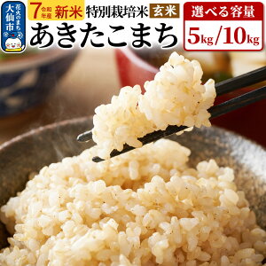 �y�ӂ邳�Ɣ[�Łz�V�� �� �ߘa7�N�Y�y���ʍ͔|�āz���������܂��y���āz�I�ׂ�e�ʁy5kg�^10kg�z