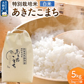 【ふるさと納税】米《令和7年産 新米受付》特別栽培米 あきたこまち【精白米】5kg×1袋 ローズメイ 秋田県 大仙市産
