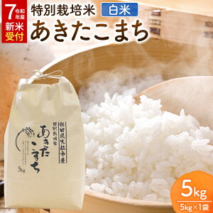 【ふるさと納税】米《令和7年産 新米受付》特別栽培米 あきたこまち【精白米】5kg×1袋 ローズメイ 秋田県 大仙市産