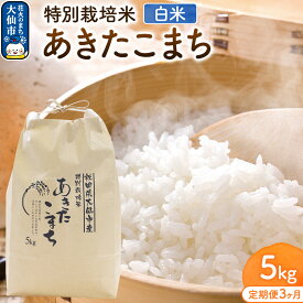 【ふるさと納税】【定期便3ヶ月】《令和7年産 新米受付》米 特別栽培米 あきたこまち【精白米】5kg（5kg×1袋）ローズメイ 秋田県 大仙市産