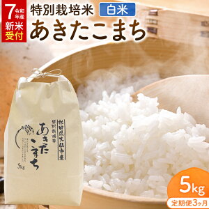 yӂ邳Ɣ[Łzy3zsߘa7NY VĎtt ʍ͔| ܂yāz5kgi5kg×1܁j[YC Hc sY