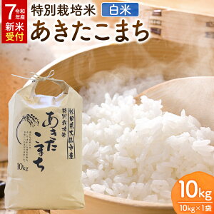 yӂ邳Ɣ[Łzāsߘa7NY VĎttʍ͔| ܂yāz10kg×1 [YC Hc sY