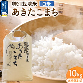 【ふるさと納税】【定期便3ヶ月】《令和7年産 新米受付》米 特別栽培米 あきたこまち【精白米】10kg（10kg×1袋）ローズメイ 秋田県 大仙市産