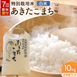 yӂ邳Ɣ[Łzy3zsߘa7NY VĎtt ʍ͔| ܂yāz10kgi10kg×1܁j[YC Hc sY
