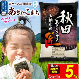 【ふるさと納税】＜令和7年産 新米受付＞米【白米】秋田県大仙市産 あきたこまち 精米 5kg 令和7年産【選べるお届け回数】