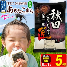 【ふるさと納税】＜令和7年産 新米受付＞米【無洗米】秋田県大仙市産 あきたこまち 精米 5kg 令和7年産【選べるお届け回数】