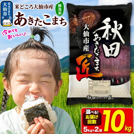 【ふるさと納税】＜令和7年産 新米受付＞米【無洗米】秋田県大仙市産 あきたこまち 精米 10kg（5kg×2袋）令和7年産【選べるお届け回数】