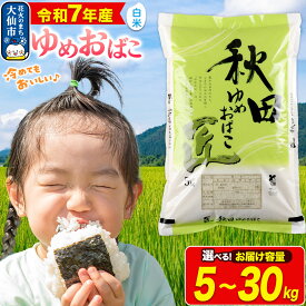 【ふるさと納税】新米 米【白米】秋田県産 ゆめおばこ 精米 令和7年産 大仙市【選べる容量】小分け