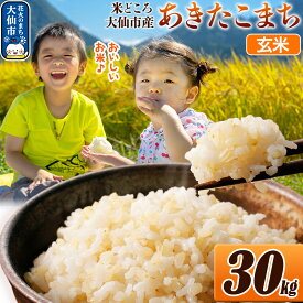 【ふるさと納税】新米 令和7年産 米【玄米】米どころ秋田県大仙市産 あきたこまち 30kg（30kg×1袋）