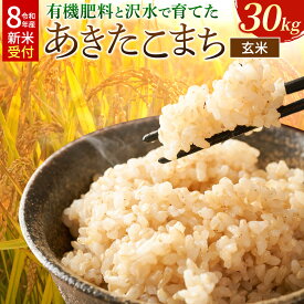 【ふるさと納税】《令和8年産 新米受付》米 あきたこまち【玄米】秋田県大仙市産 有機肥料と沢水で育てたあきたこまち 30kg [新米 先行受付 令和8年 米 あきたこまち お米 こめ ブランド米 玄米 米どころ 有機肥料 沢水 秋田 秋田県産 大仙市]