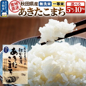 【ふるさと納税】米 令和7年産 秋田県産あきたこまち 農家直送 【無洗米】［5kg／10kg］内小友ファーム