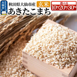 yӂ邳Ɣ[ŁzV āyߘa7NYz܂ āyIׂ 10kg^20kg^30kgzHcsY