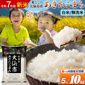 【ふるさと納税】新米 令和7年産 米 米どころ秋田県大仙市産 あきたこまち 精米【選べる白米・無洗米×容量×お届け回数】